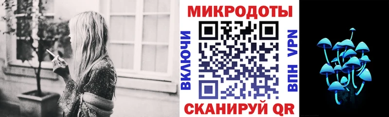 даркнет сайт Ряжск Псилоцибиновые грибы Psilocybe